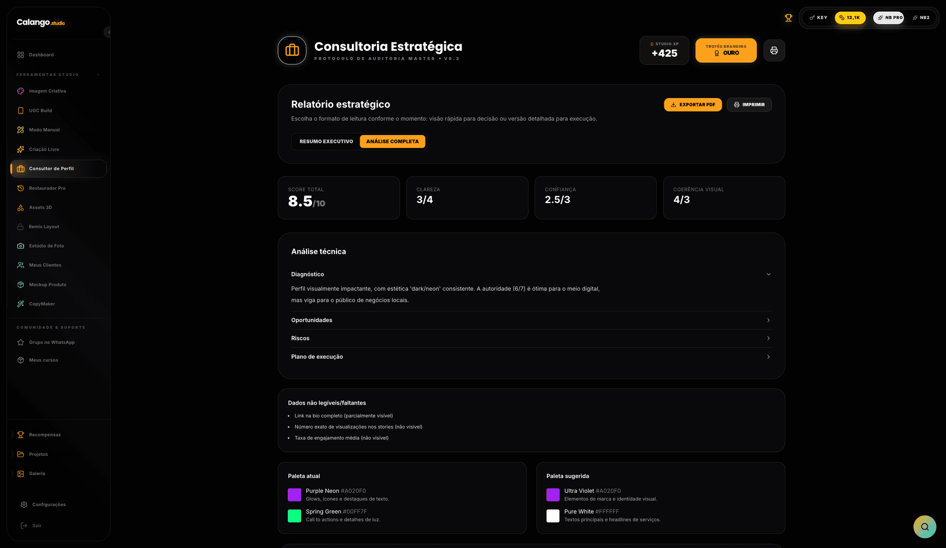 Relatório completo do Consultor de Perfil com notas e plano de ação