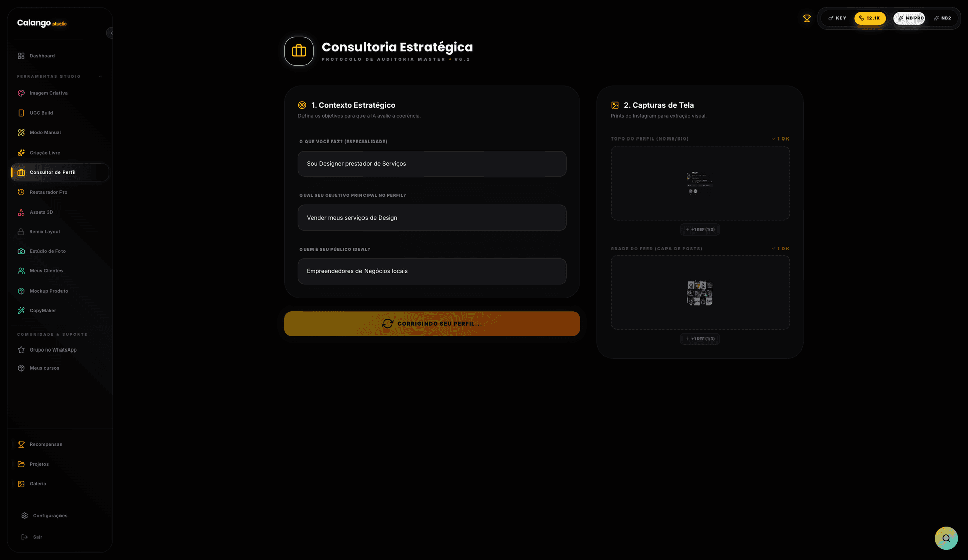 Envio dos prints e do contexto no Consultor de Perfil