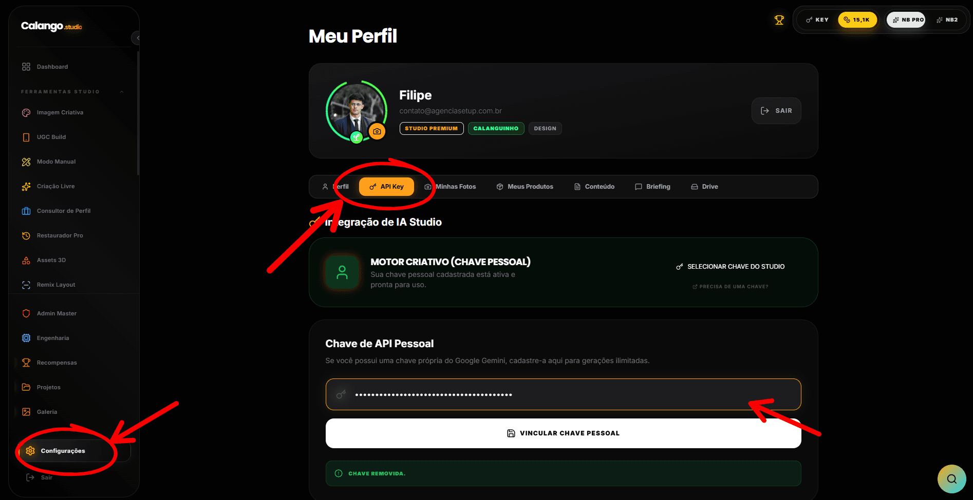 Campo de API Key nas configurações do Calango Studio